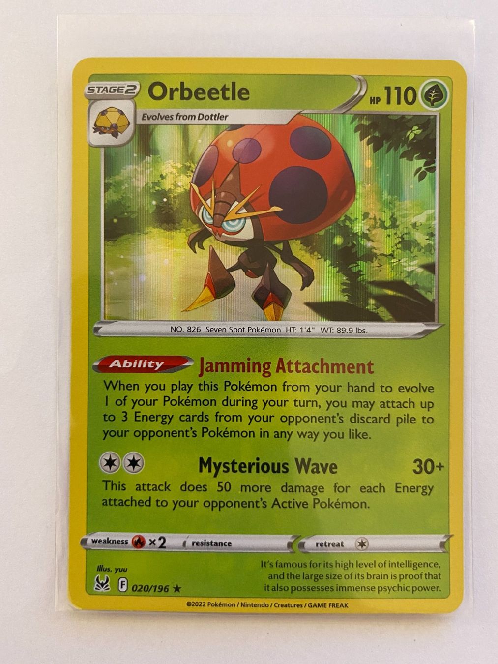 Pokémon Carte collezionabili: Pokemon Orbeetle 020/196 Lost Origin EN – Nuovo (secondo la descrizione) da Weingarten-Kalthäusern venduto da McGmavlo