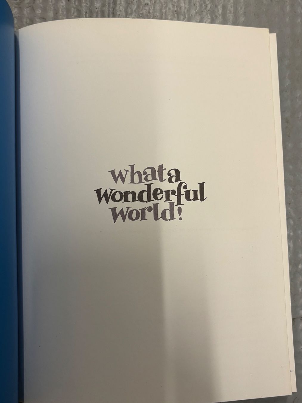 Fumetti: Zep - What a Wonderful World - BD – Usato da Genève venduto da Livsonman 2