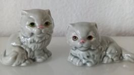 Wunderschönes Göbel Katzenpaar