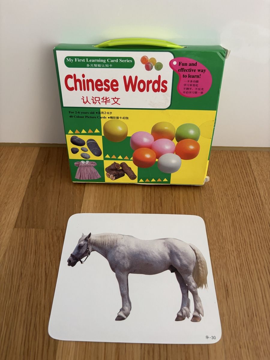 Libri: Learning Chinese 40 cards (2-6 yrs) – Nuovo (secondo la descrizione) da Würenlos venduto da sue_wp8k 1