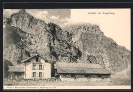 Engelberg, Die Arnialp vor den Felswänd