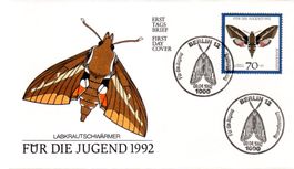 FÜR DIE JUGEND SCHMETTERLING AUSGABETAG - 1-43