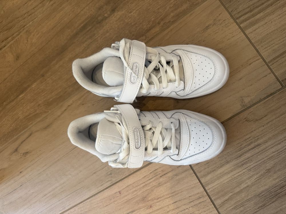 Adidas Chaussures femmes: Adidas Forum – Neuf (Voir description) à Ebikon par miss_ejlena