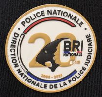 Police Nationale BRI