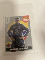m . caicedo silver