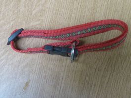 Hundehalsband rot mit Muster Grösse verstellbar guter Zus...