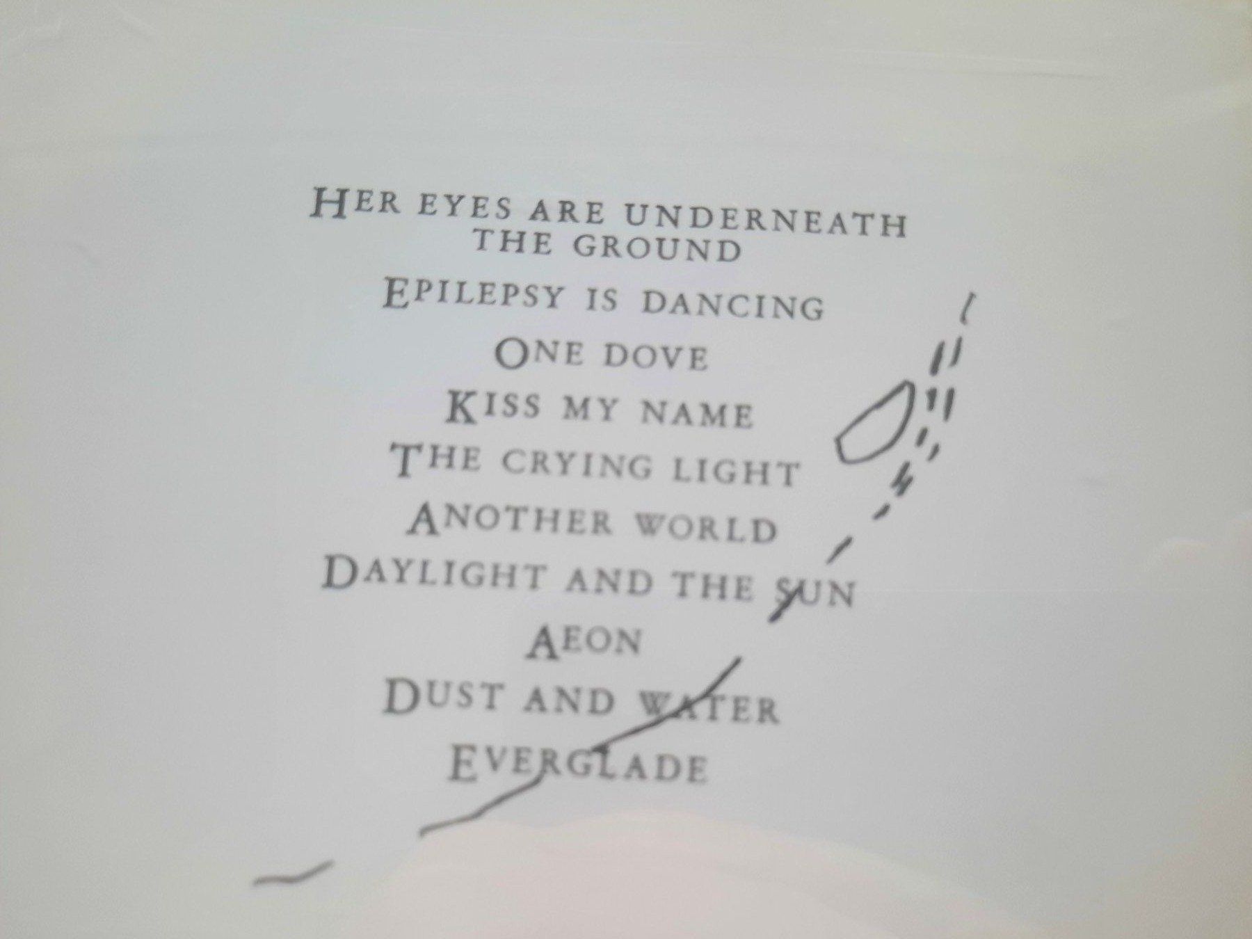 CD: CD Antony and the Johnsons - The crying light – Usato da Pully venduto da bro_n52j 2