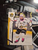 Marco Pedretti HC Ajoie Sportzoo 2024/25