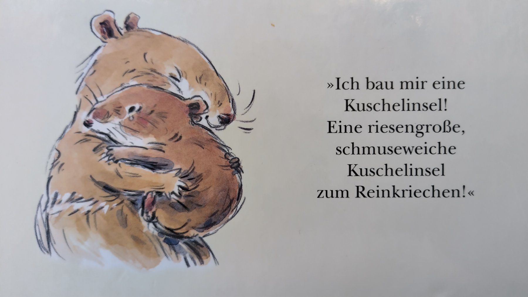 Libri: Die Kuschelinsel / Bilderbuch 1999 ab Fr. 8.- – Usato da Bellach venduto da JingleJerry 8