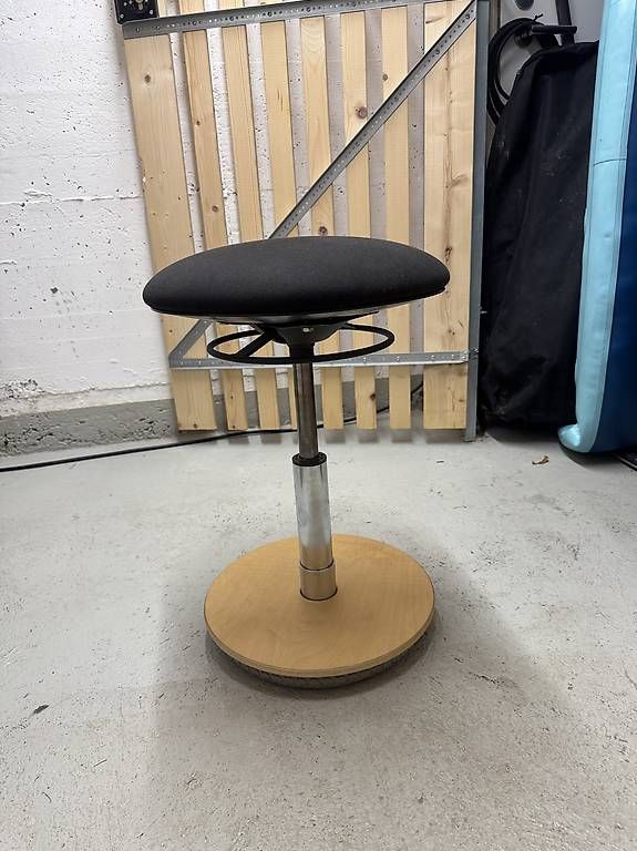 Hocker: Ergonomischer Sitzhocker – Gebraucht aus Zürich von van_58nb