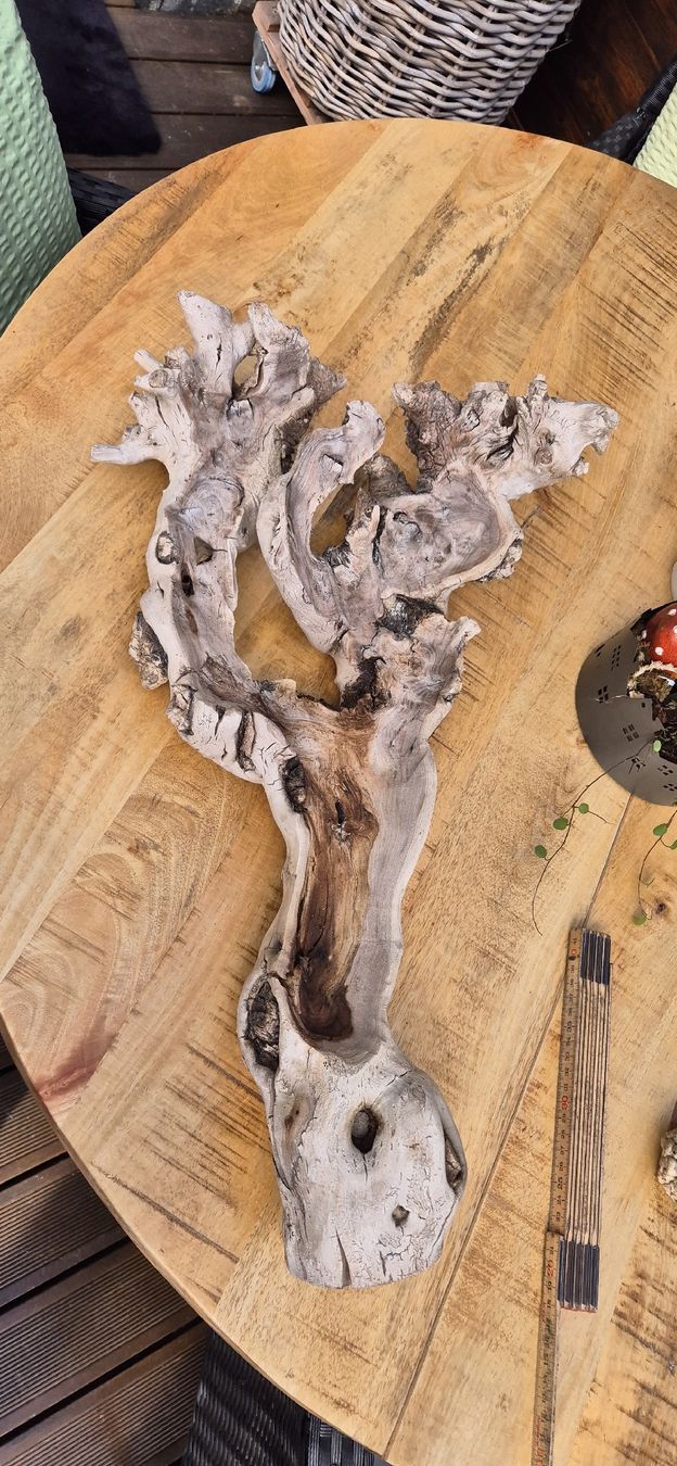 Articoli in legno: Wurzel – Usato da näfels venduto da vrenit 2
