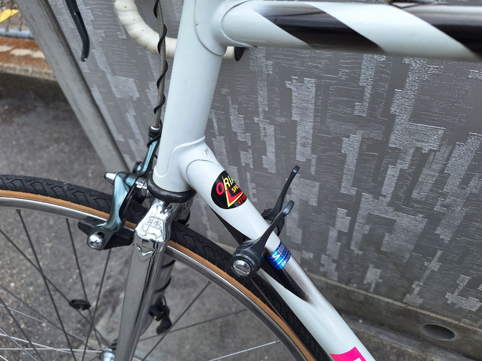 F. Moser Biciclette: Rennvelo – Usato da Tamins venduto da VW99 5