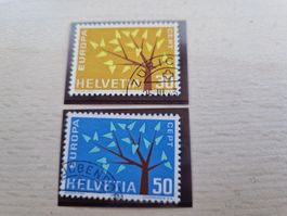 2x kurzer Ast, ab 1.-