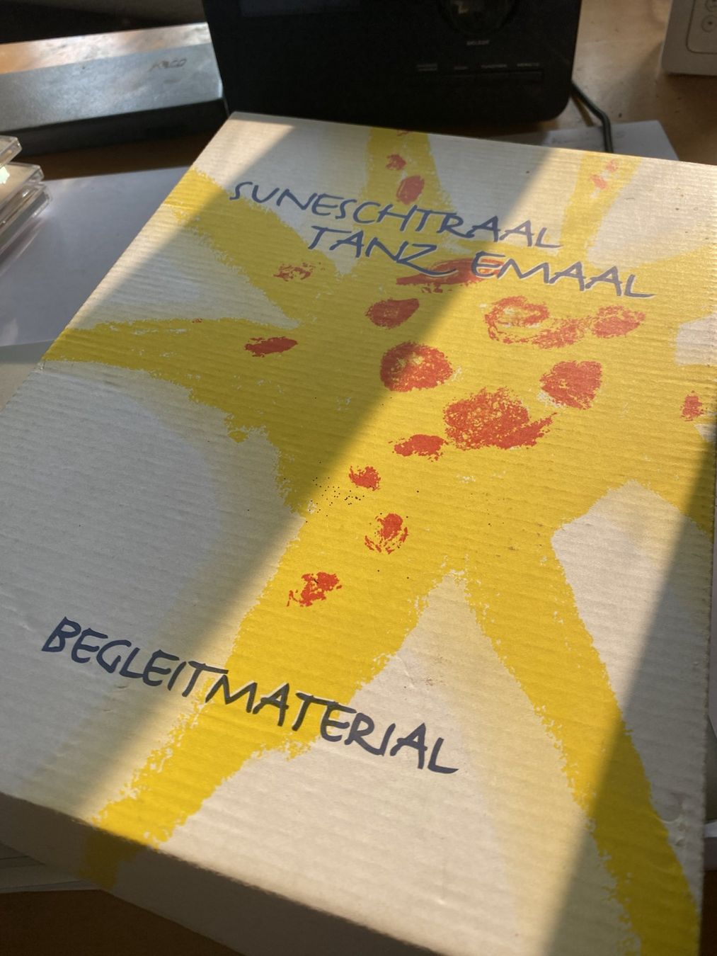 Libri: Suneschtraal /Konvolut – Usato da Sachseln venduto da basti1950