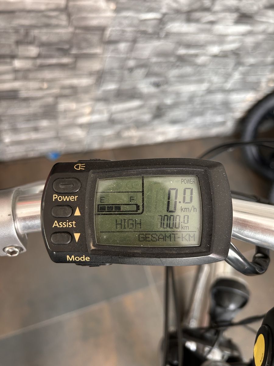 Flyer Biciclette: Flyer E-Bike 25km/h - 7000 km – Usato da Root venduto da Sajo_04 4