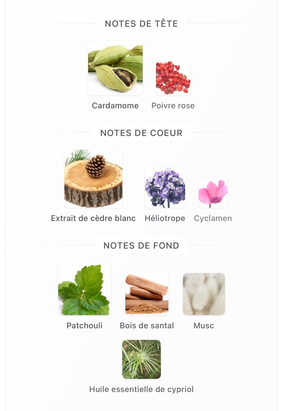 Ex Nihilo Profumi & Eau de Toilette: EDP Bois d'Hiver by Ex Nihilo (decant) – Usato da Genève venduto da StaceyH 1
