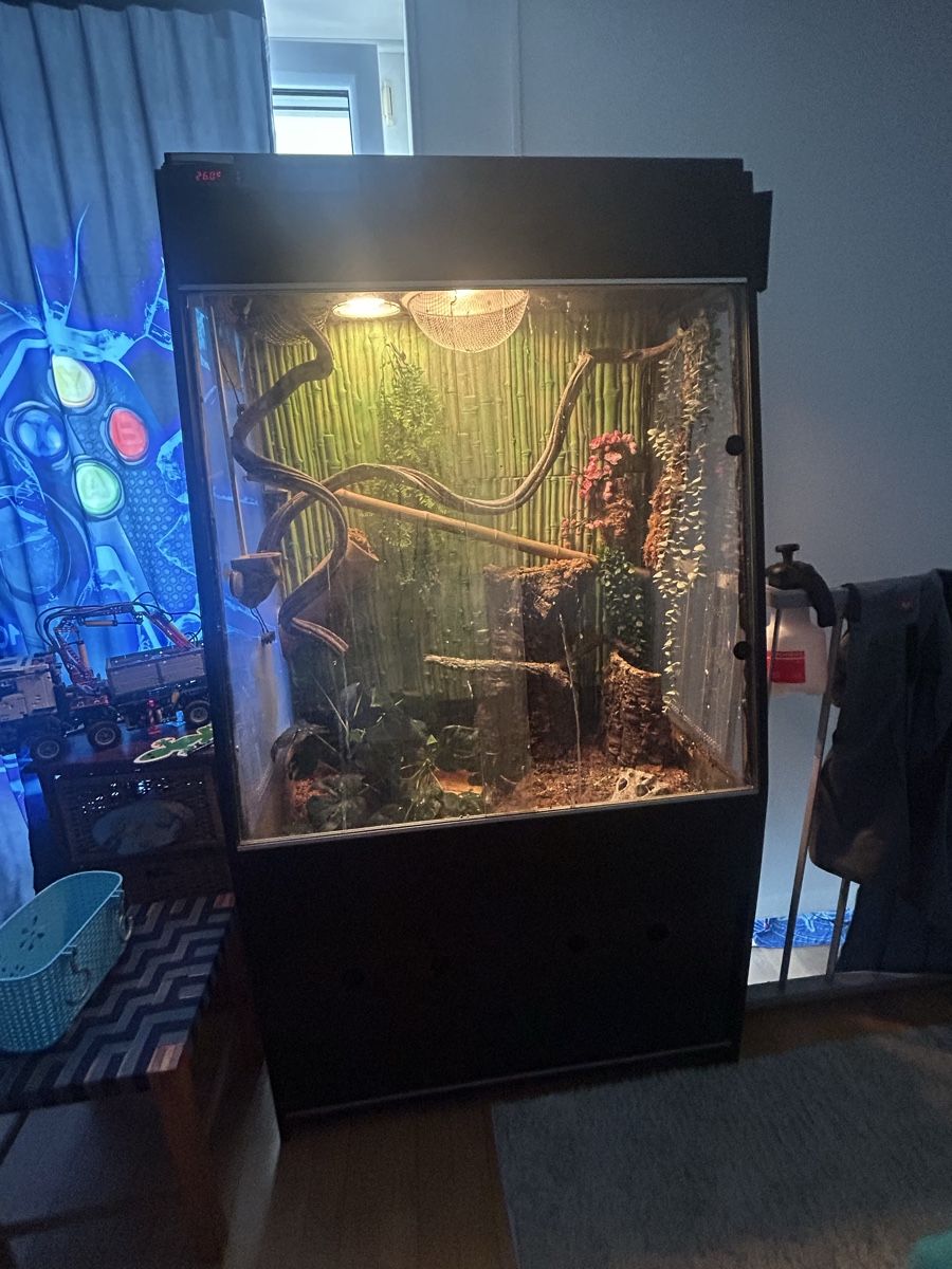 Terrario: Gegcko Terrarium  – Usato da Matzingen venduto da lar_klx9