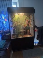 Gegcko Terrarium 