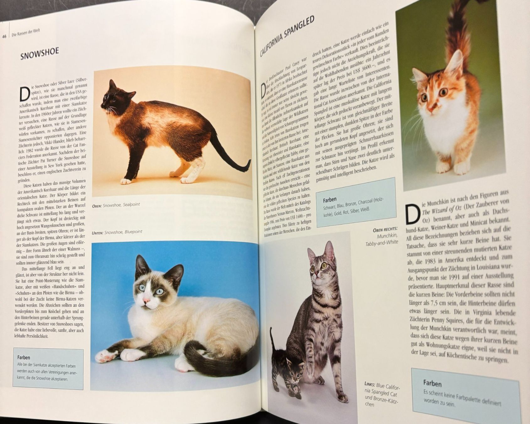 Libri: Katzen und ihre Welt – Nuovo e nell'imballaggio originale da Sarnen venduto da Livres 5