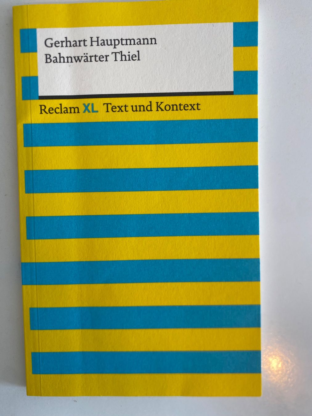 Libri: Bahnwärter Thiel von Gerhart Hauptmann – Usato da Aarberg venduto da aliyaderpinguin