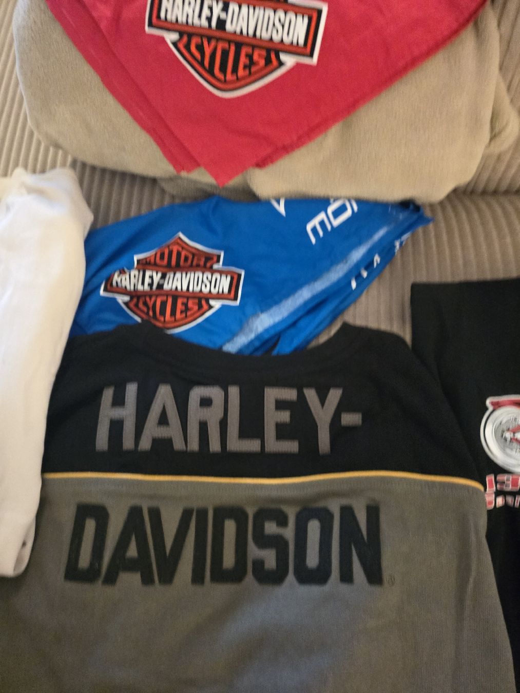 Harley-Davidson Kleiderpakete: Harley-Davidson T-Shirts und Pullover Set XL/XXL – Neu (gemäss Beschreibung) aus Horgenberg von Esteban_Cri 2
