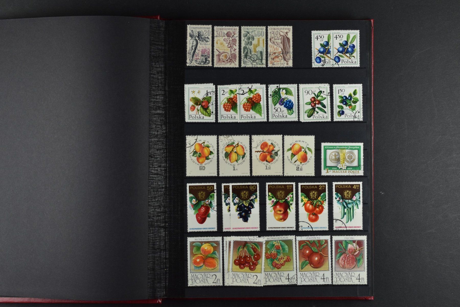 Tutti i francobolli: SAMMLUNG, BLUMEN, 2 EINSTECK-ALBEN, 900+ MARKEN – Usato da Wetzikon ZH venduto da Philimpex 7