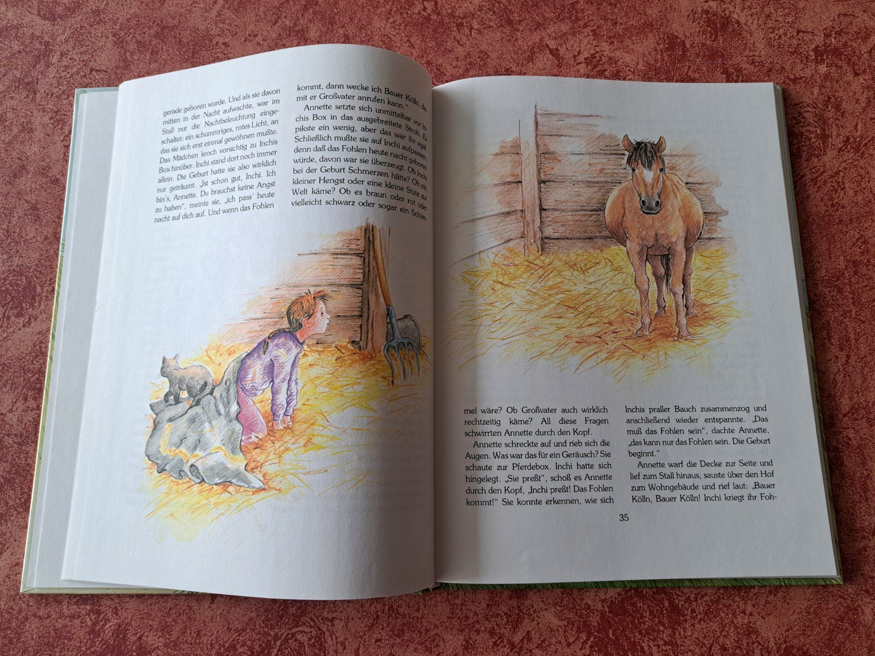 Libri: Jugendbuch Pferdegeschichten – Usato da Oberburg venduto da portzi1 1