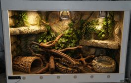 Grosses Terrarium Einrichtung mit Beleuchtung und Dekoration