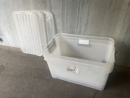 3x Aufbewahrungsbox mit Deckel 115 Liter 80x50x39cm