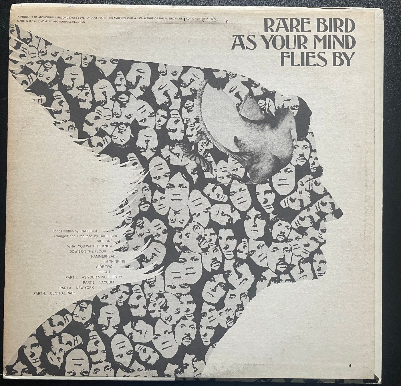 Dischi in vinile: Rare Bird, As your mind flies by, USA – Usato da Kleinlützel venduto da Vinylspezi 1