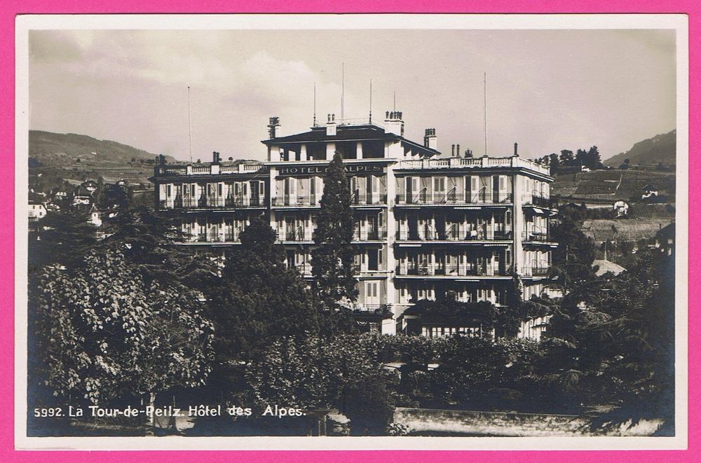 La TourdePeilz Hôtel des Alpes Kaufen auf Ricardo