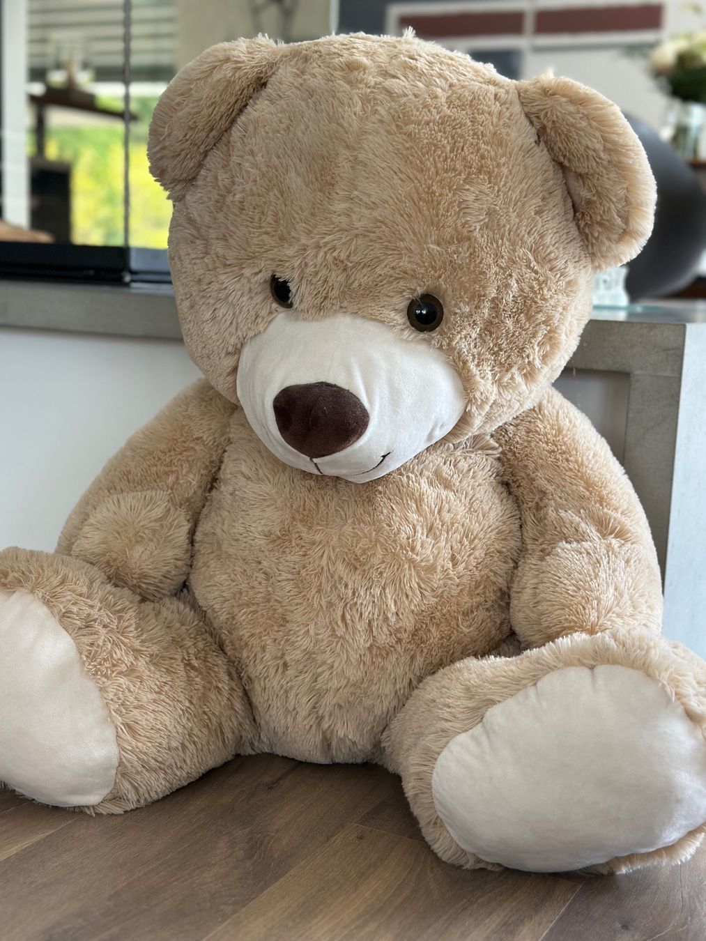Giocattoli: Grosser Teddybär sucht neues Zuhause – Usato da Wigoltingen venduto da Sashpa 2