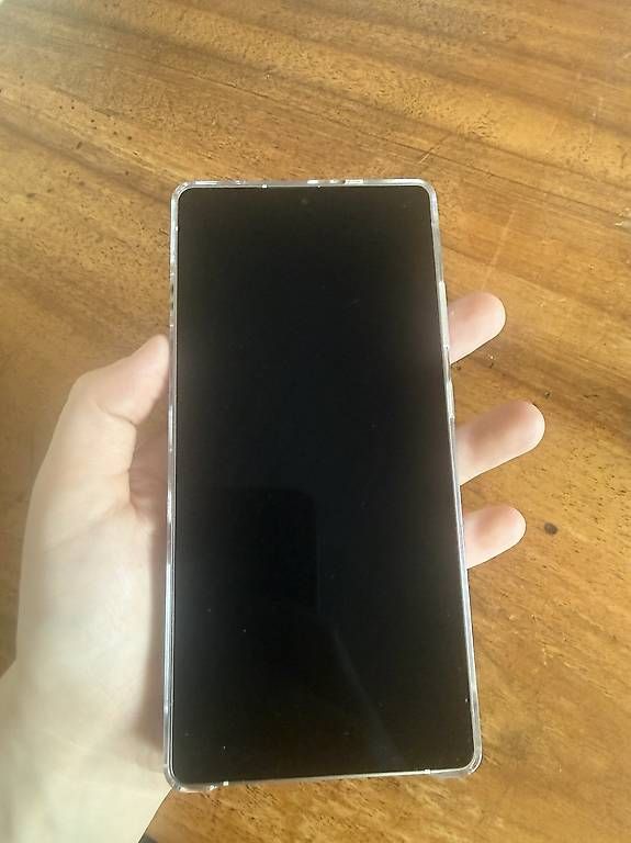 Samsung Handys / Smartphones: Samsung Galaxy S25 Ultra 256 GB Anthrazit – Gebraucht aus St. Gallen von gio_g75v