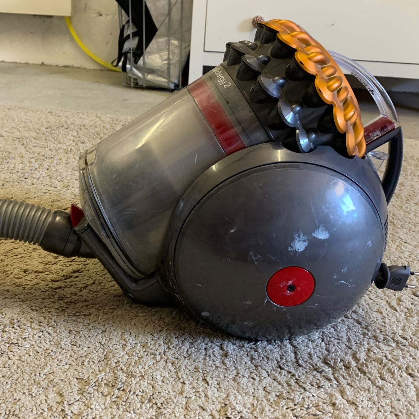 Staubsauger & Zubehör: dyson big ball allergy 2 – Gebraucht aus Rosshäusern von isa_frhln 3