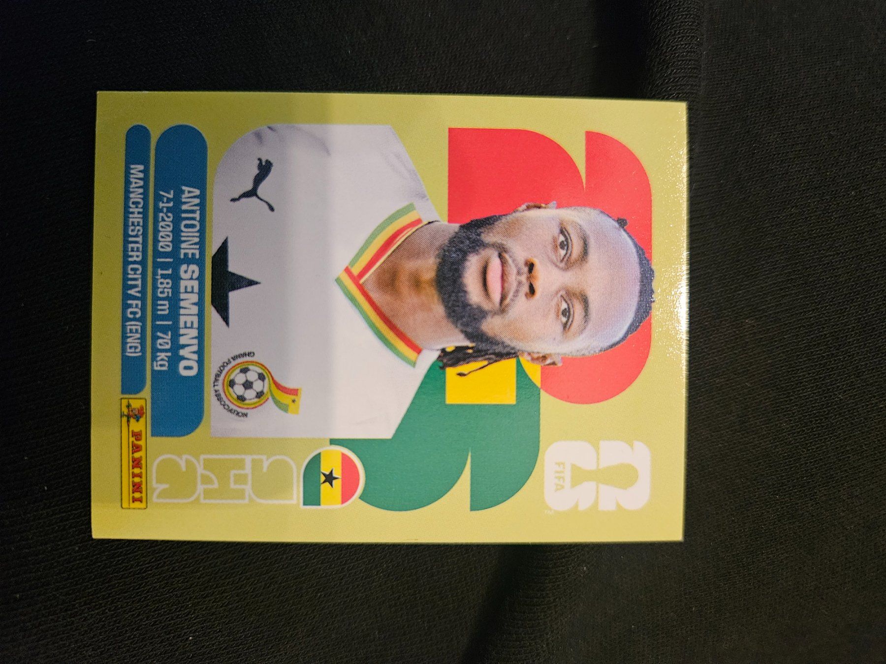 Panini Cartes à collectionner: GHA20 – D'occasion à Würenlingen par Dinli