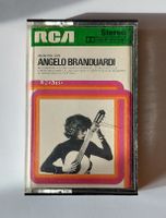 Angelo Branduardi / incontro con