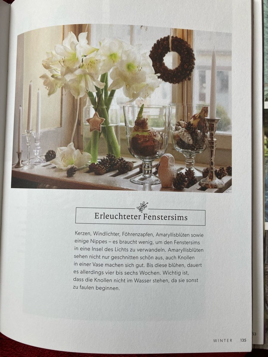Bücher: Naturdeko Buch Petra Salvisberg – Gebraucht aus Widen von nigella90 4