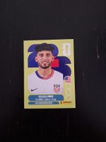 panini 2026 usa 18