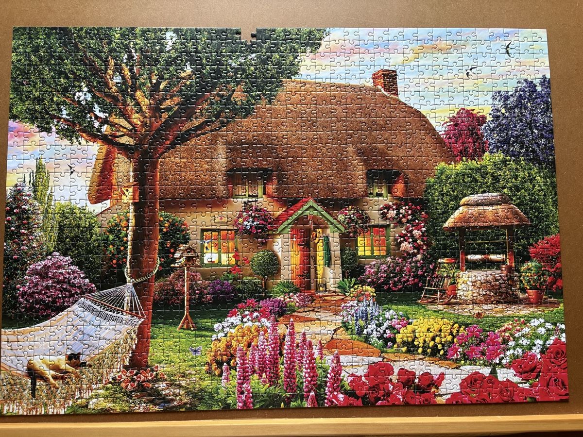 Puzzles: Bluebird Puzzle 1000 Teile - 1 Teil fehlt – Gebraucht aus Zweisimmen von Domii 2