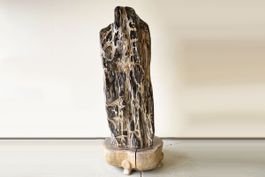 Versteinertes Holz Poliert auf Holz Standfläche