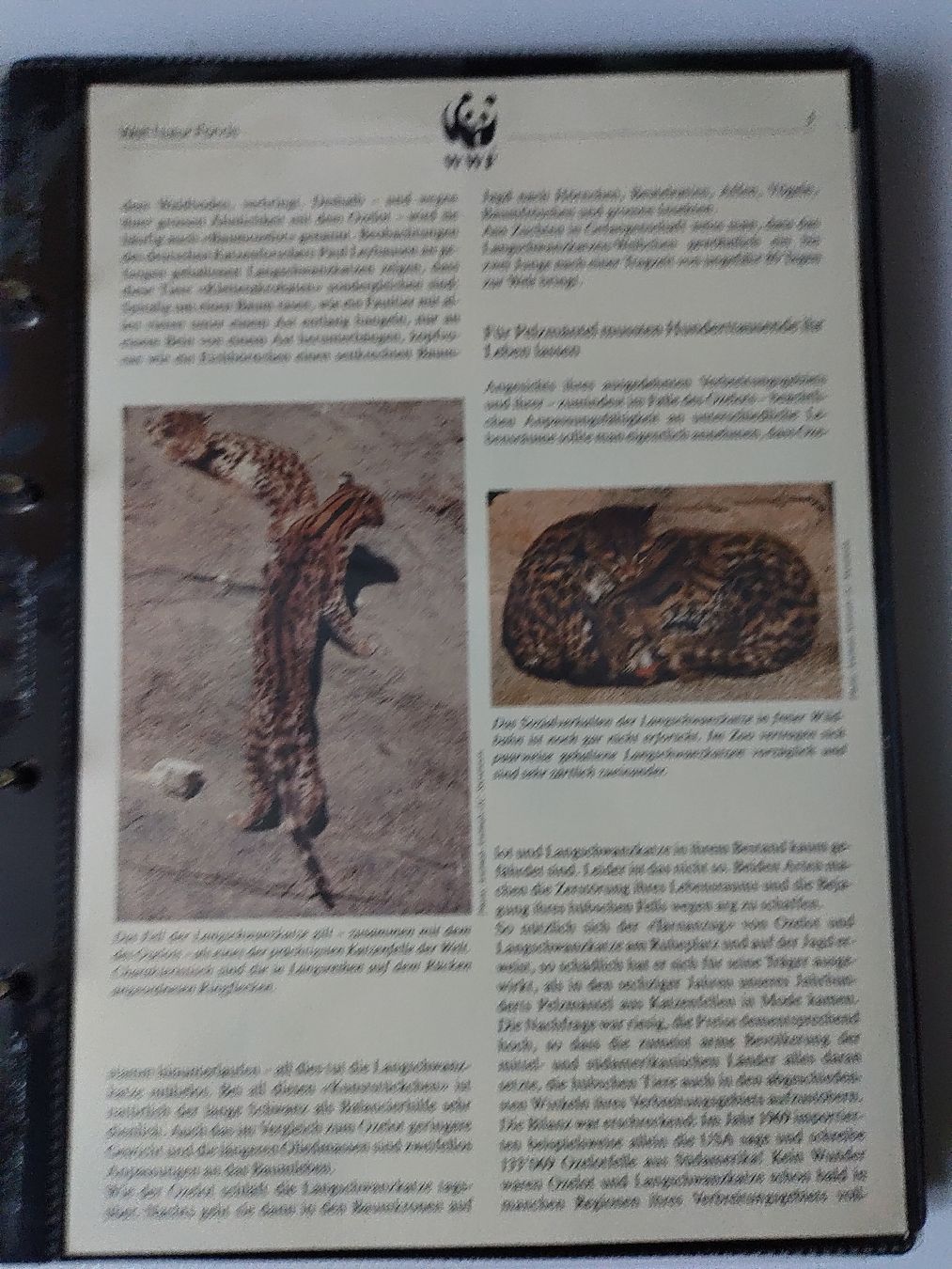 Tutti i francobolli: WWF Ozelot Langschwanzkatze Briefmarken Sammlung – Nuovo (secondo la descrizione) da Greifensee venduto da Retepw 4