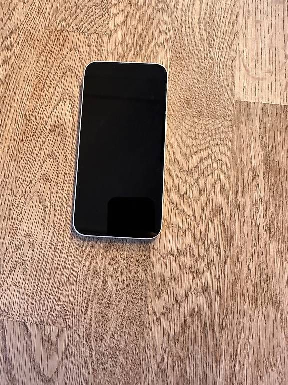 Apple Telefoni cellulari / Smartphones: Apple iPhone 13 256 GB Polarstern – Usato da Meisterschwanden venduto da Meischti1