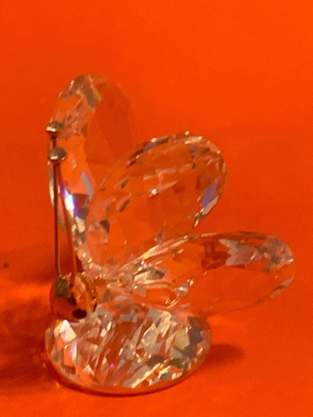 Swarovski Figuren: Swarovski Grosser Schmetterling – Neu (gemäss Beschreibung) aus Oberglatt ZH von Multimix 1