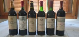 6 Flasche alte Bordeaux (L13)