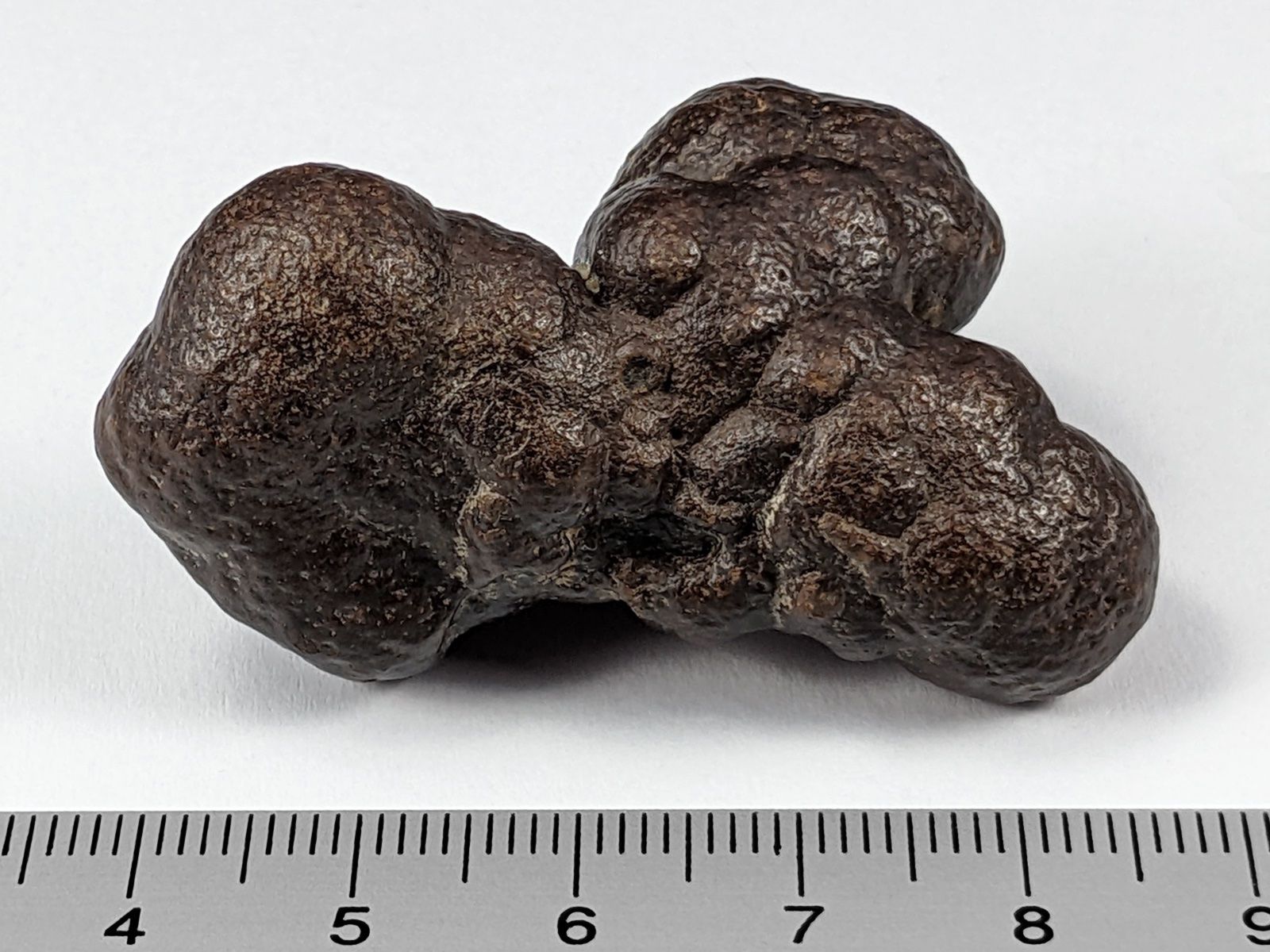 Minerali & Pietre curative: Prophetenstein/Limonit-Pyrit 4,9cm 44 Gramm – Nuovo e nell'imballaggio originale da Meilen venduto da StoneGarden 1