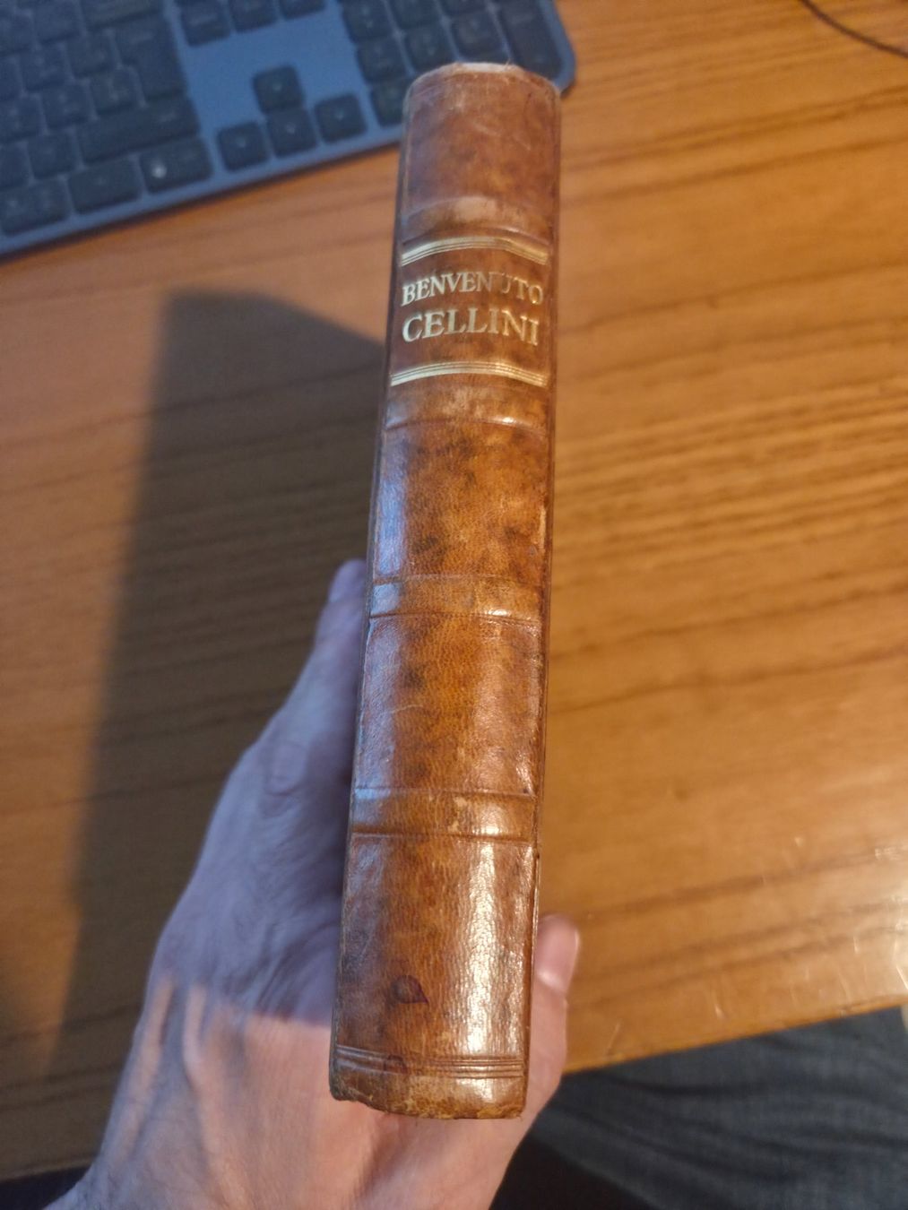 Libri: Cellini – Leben – Goethe – Halbleder 1924 – Usato da Aldesago venduto da lusuardi 2