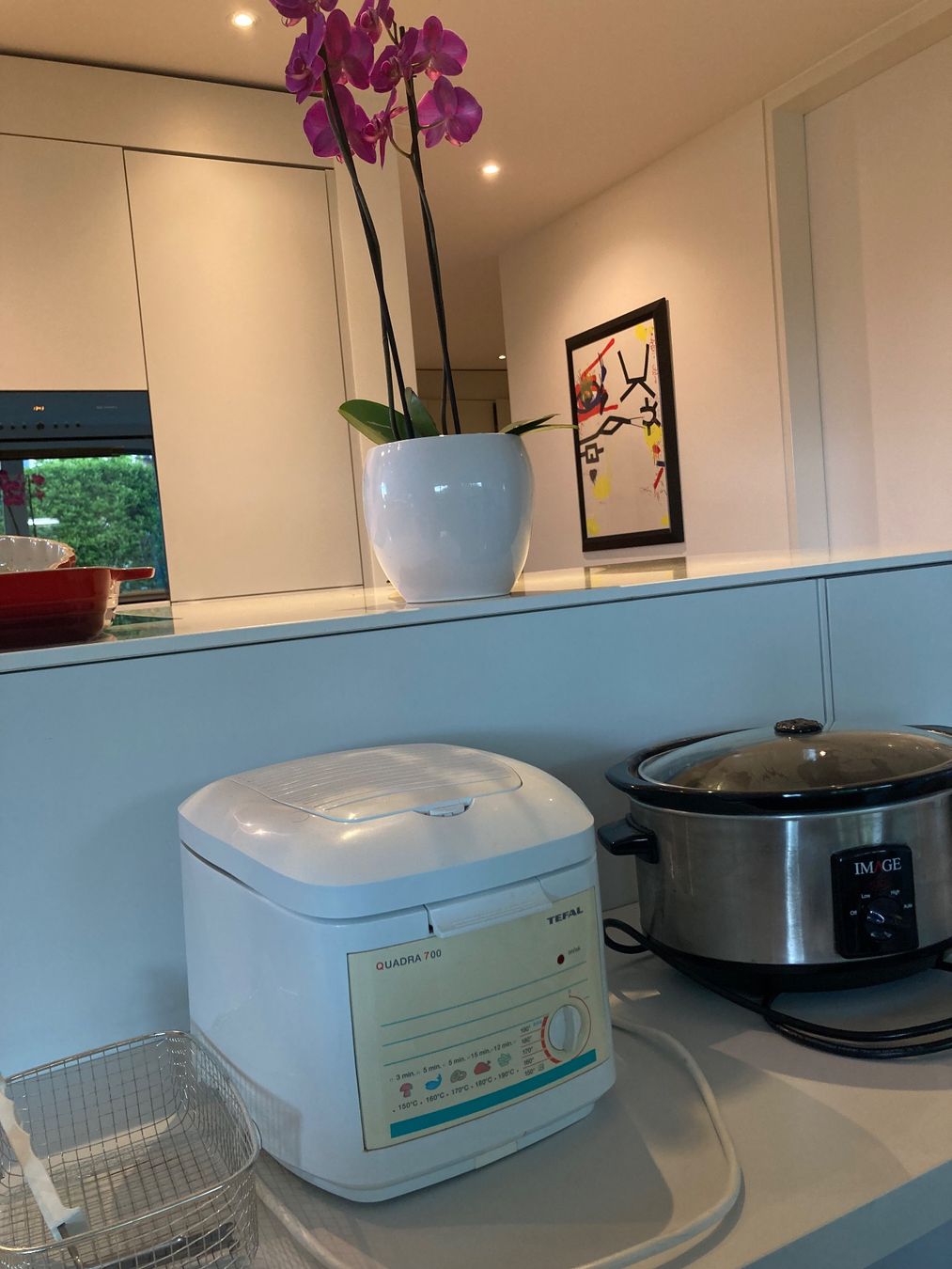 Tefal Elettrodomestici da cucina: Tefal Friteuse UND  Slow Cooker Image – Usato da Adliswil venduto da T-Shirt 2