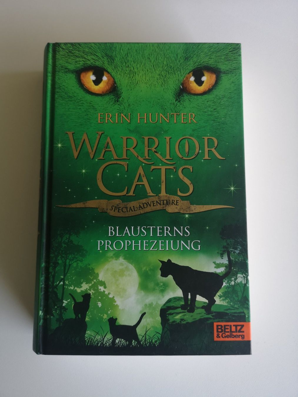 Bücher: WARRIOR CATS Special Adventure - Blausterns Prophezeiung – Neu (gemäss Beschreibung) aus Jona von CHE.ARG