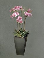 💥 Weekend Preis Kunstpflanze Orchideen im Topf💥