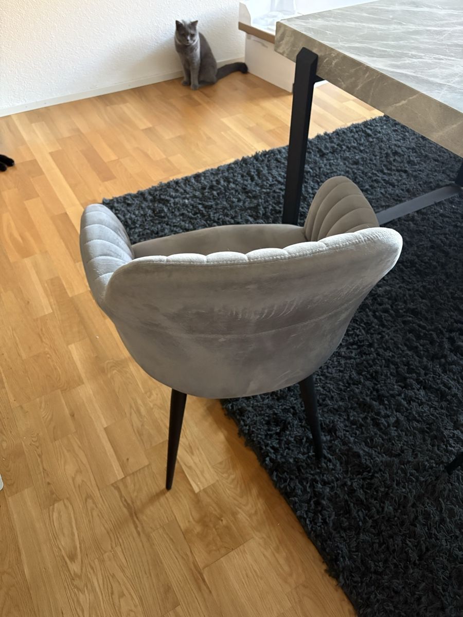 Fauteuils: Sessel Samt 4 Stk – D'occasion à Wallisellen par des_l5yc 1